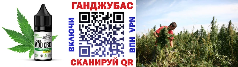 MEGA зеркало  Мценск  Cannafood конопля 
