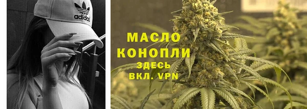 гидра Горняк