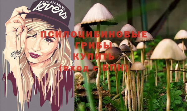 гидра Горняк