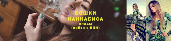 дмт Горнозаводск