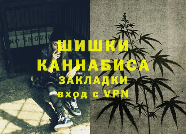 ПСИЛОЦИБИНОВЫЕ ГРИБЫ Вязники