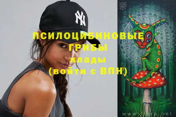 гидра Горняк