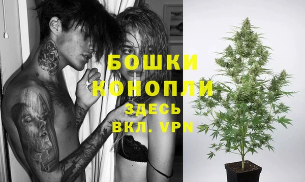 ПСИЛОЦИБИНОВЫЕ ГРИБЫ Вязники