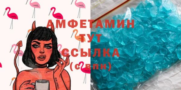 ПСИЛОЦИБИНОВЫЕ ГРИБЫ Вязники