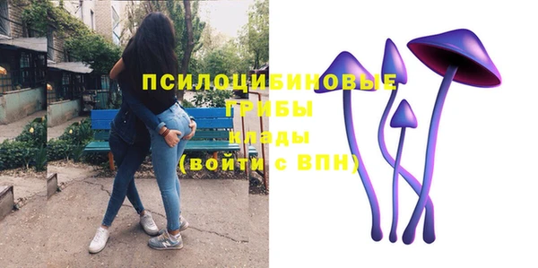 гидра Горняк
