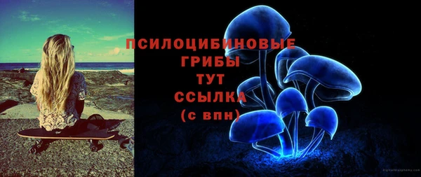 дмт Горнозаводск