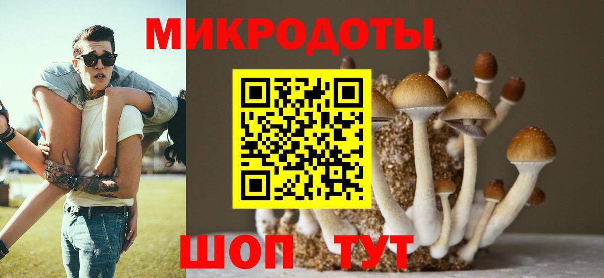 Галлюциногенные грибы мухоморы Мценск